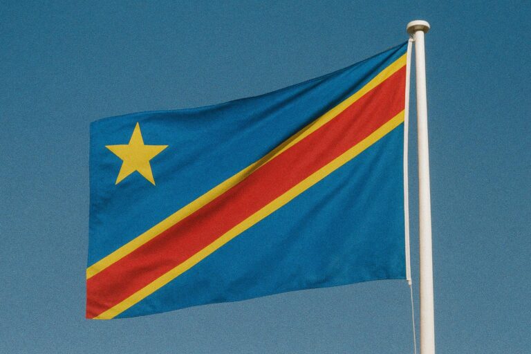 Diaspora congolaise : Paris catalyseur d’une diplomatie sanitaire en plein essor