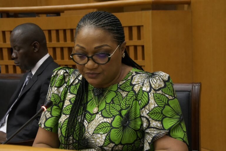 Code minier : les députés congolais votent la réforme